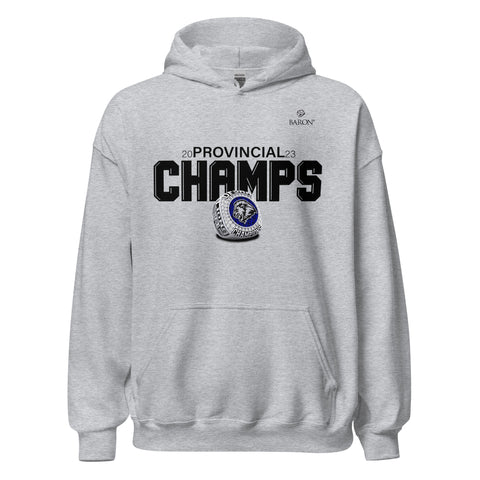 Assumption College Football 2023 Championship Hoodie