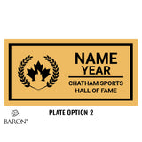 Chatham Sports Hall of Fame Display Case