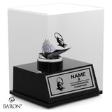 Holy Trinity Academy Rugby 2026 Championship Display Case