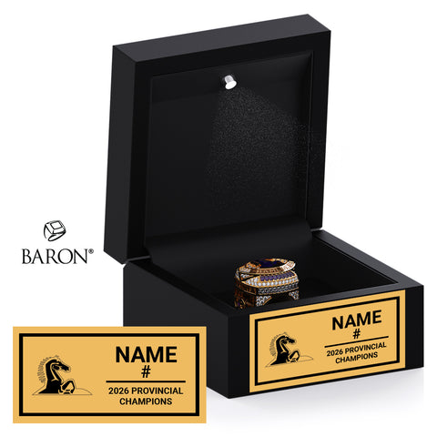 Huronia Stallions Football 2026 Championship Black LED Ring Box