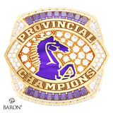 Huronia Stallions Football 2026 Championship Ring - Design 1.14