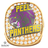 Peel Panthers Football 2023 Championship Ring - Design 4.2