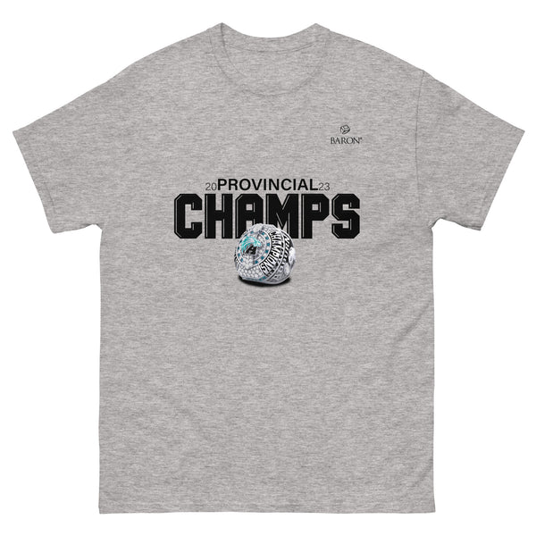 Auburn Eagles Football 2023 Championship T-Shirt