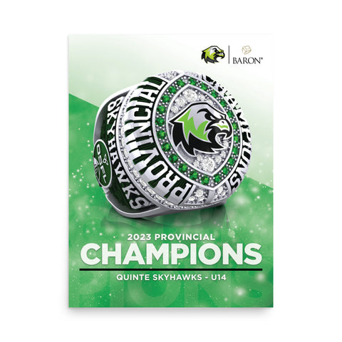 Quinte Skyhawks U14 Football 2023 Championship Poster