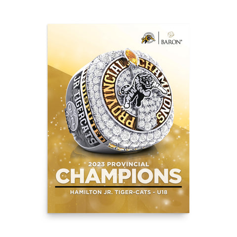 Hamilton Jr. Tiger-Cats U18 Football Championship Poster