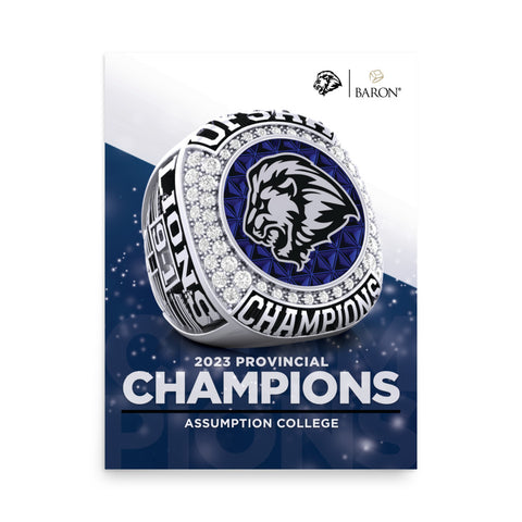 Assumption College Football 2023 Championship Poster
