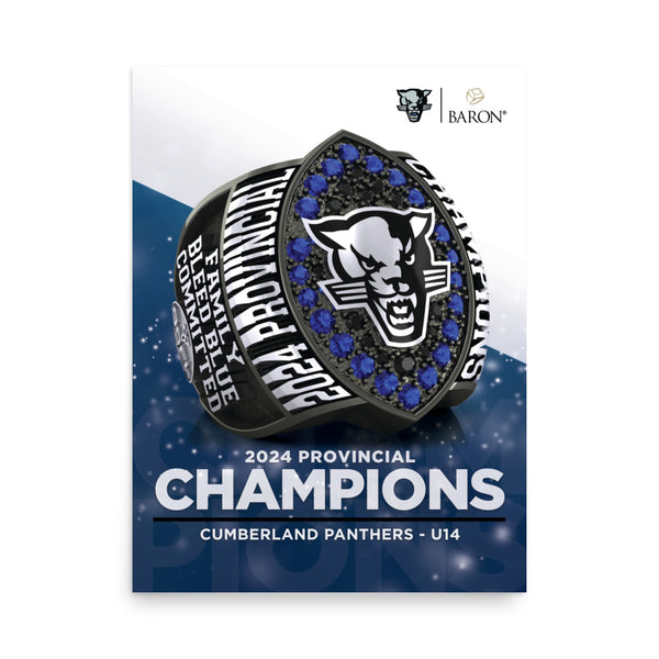 Cumberland Panthers U14 Football 2024 Championship Poster D2.3