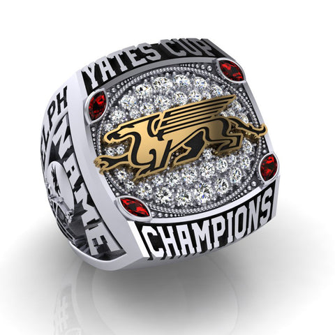 Guelph Gryphons - 2015 Yates Cup Champions - Fan Ring