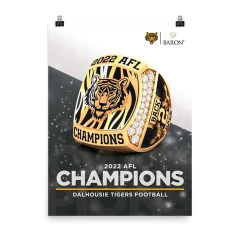 Dalhousie Tigers Football 2022 Championship Poster
